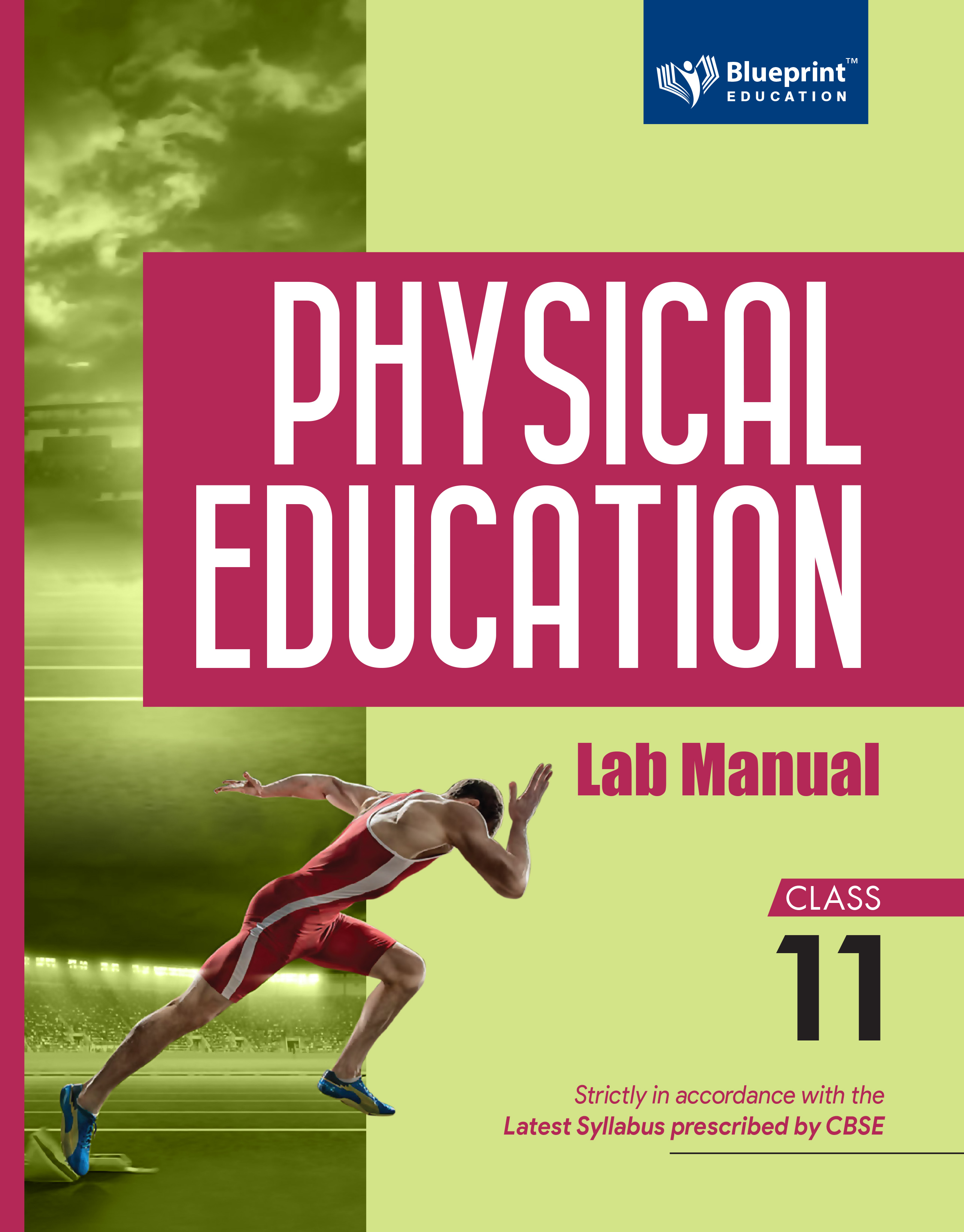 What Is Adaptive Physical Education Class 11